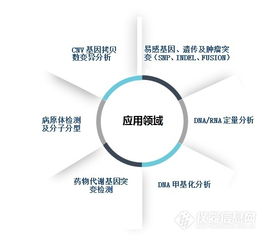 本土品牌MALDI-TOF質譜獲醫(yī)療器械證，網絡技術開發(fā)助力精準醫(yī)療新突破
